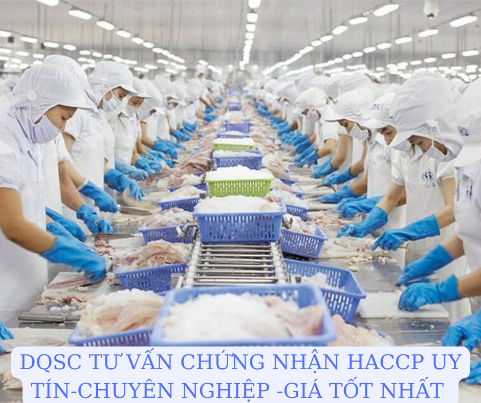 HACCP2020-tu-van
